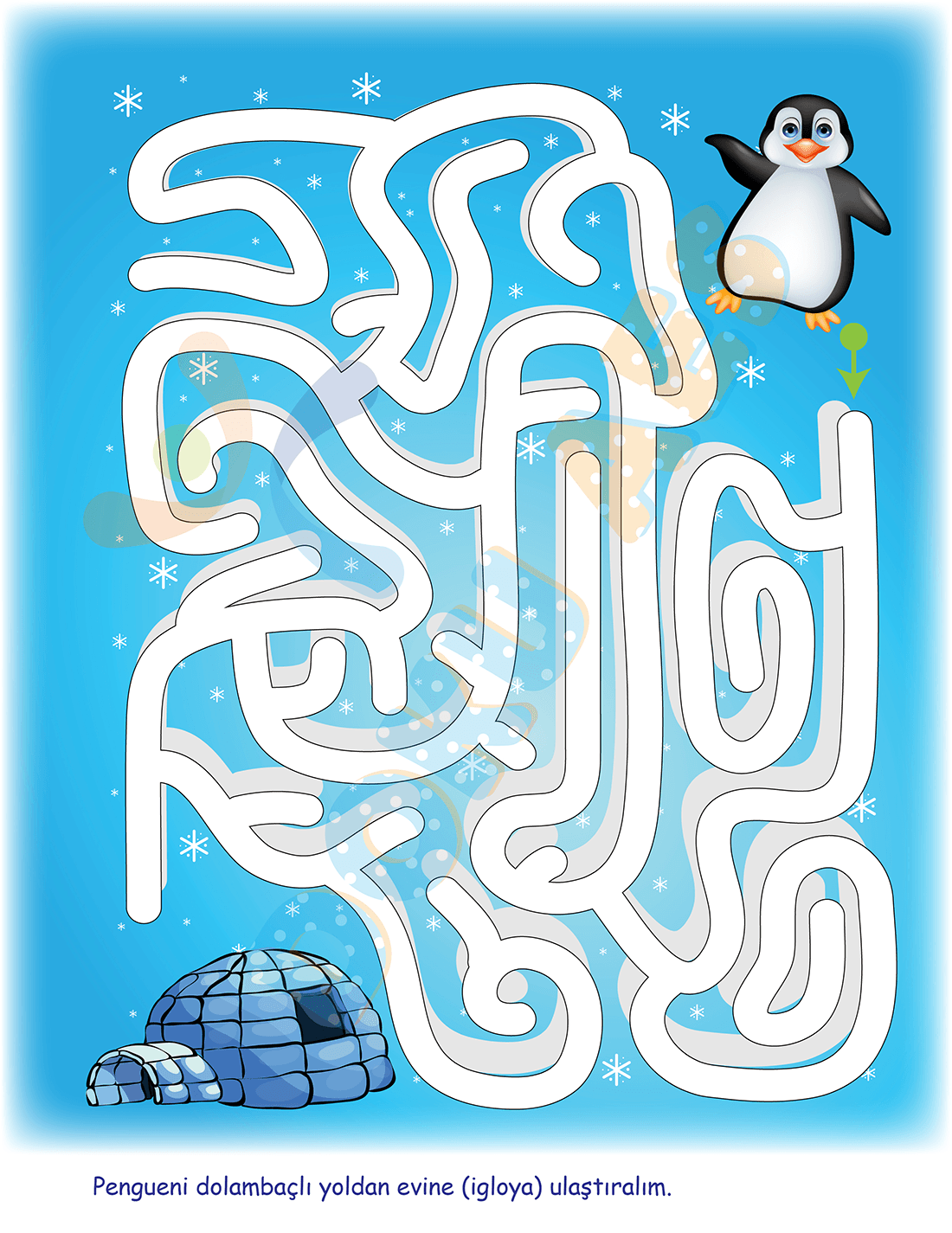 labirent-penguen.png